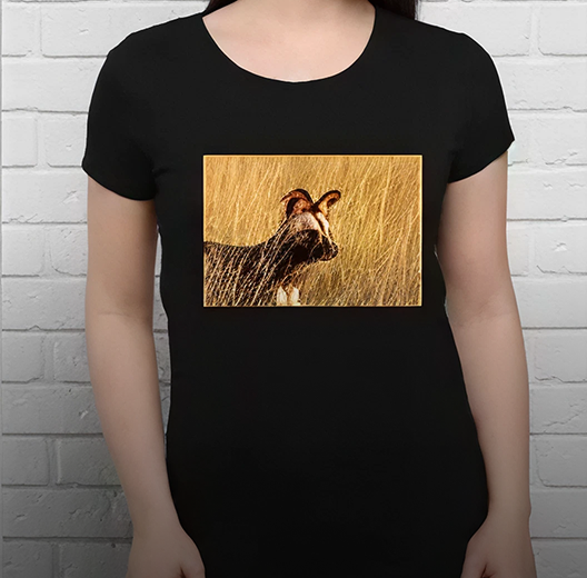 Women's & Men's Tees