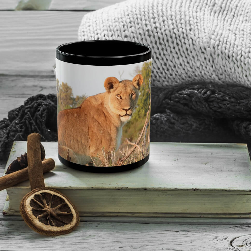 Featured Products