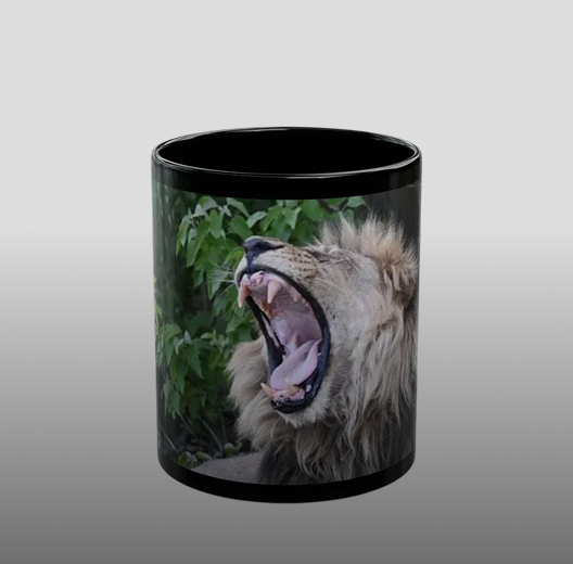 Collectables