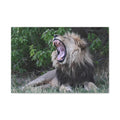 Canvas Print, Wild Animal Photography, Safari Home Decoration