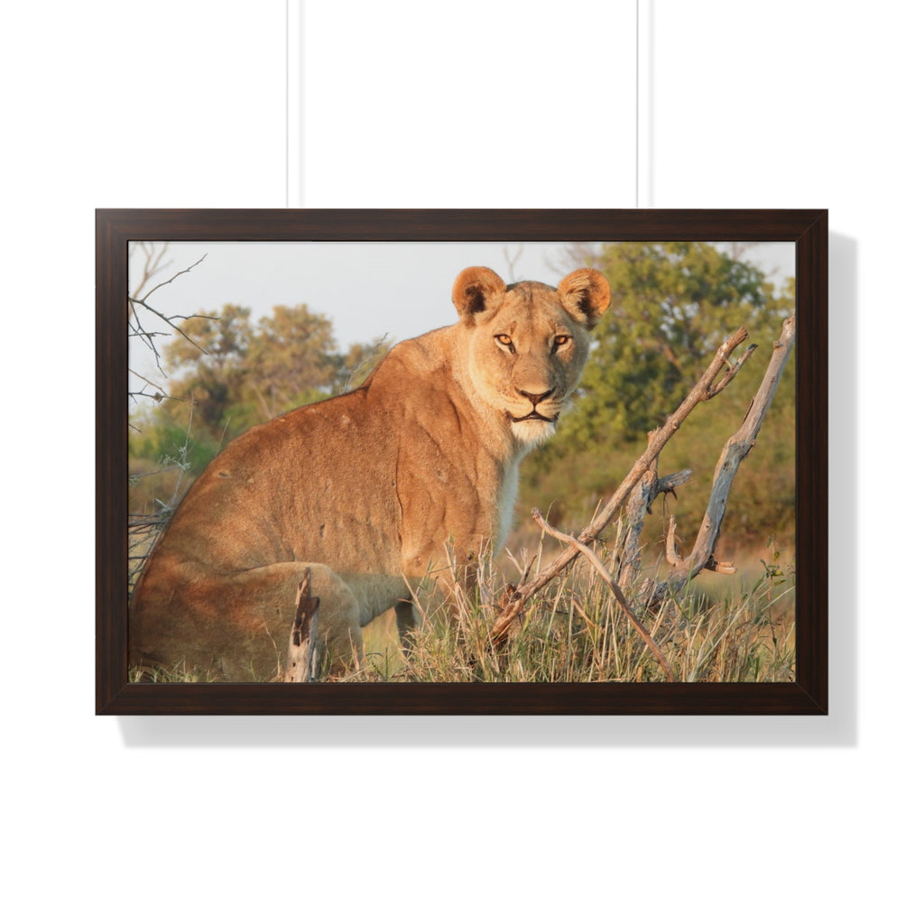 Framed Print, Stunning Lioness Wildlife Decor, Nature Inspired Print