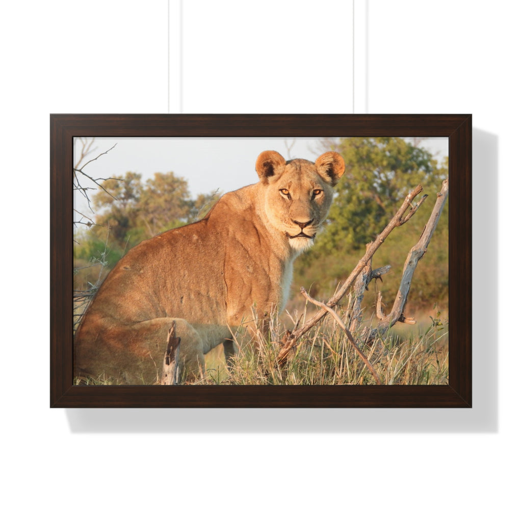 Framed Print, Stunning Lioness Wildlife Decor, Nature Inspired Print