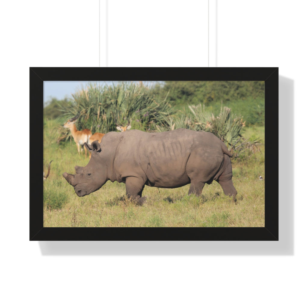 Framed Print, Amazing African Safari Art, Rhino and Antelope Wall Art
