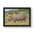 Framed Print, Amazing African Safari Art, Rhino and Antelope Wall Art