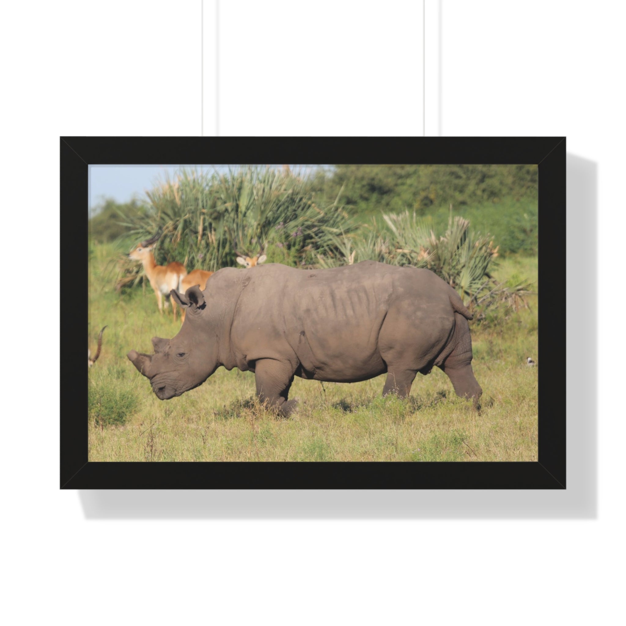 Framed Print, Amazing African Safari Art, Rhino and Antelope Wall Art
