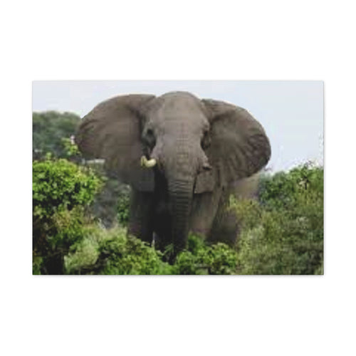 Canvas Print, Nature Elephant Decor, Wildlife Lover Gift