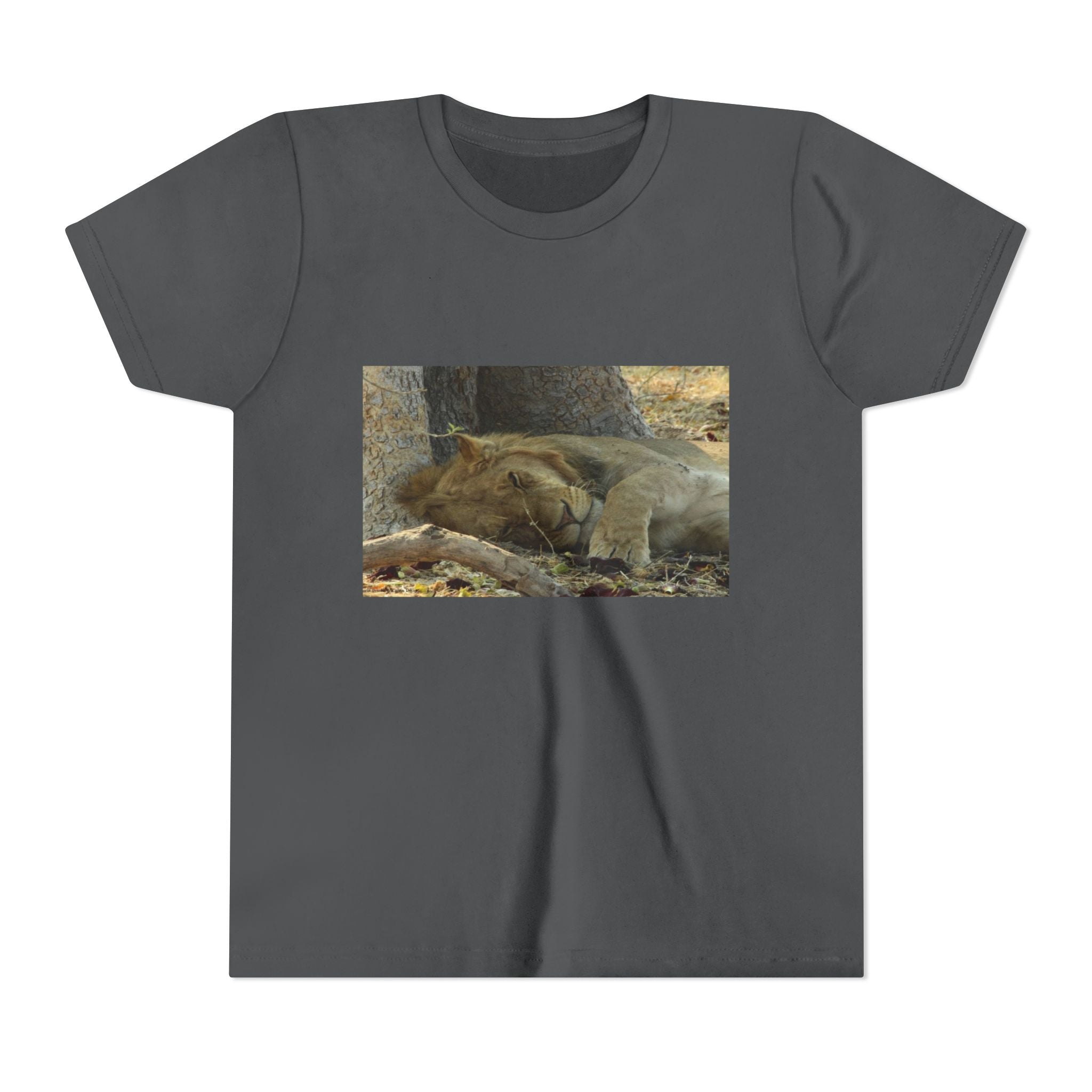 Youth T-Shirt, Lion Dreaming Youth Tee, Nature Inspired Apparel