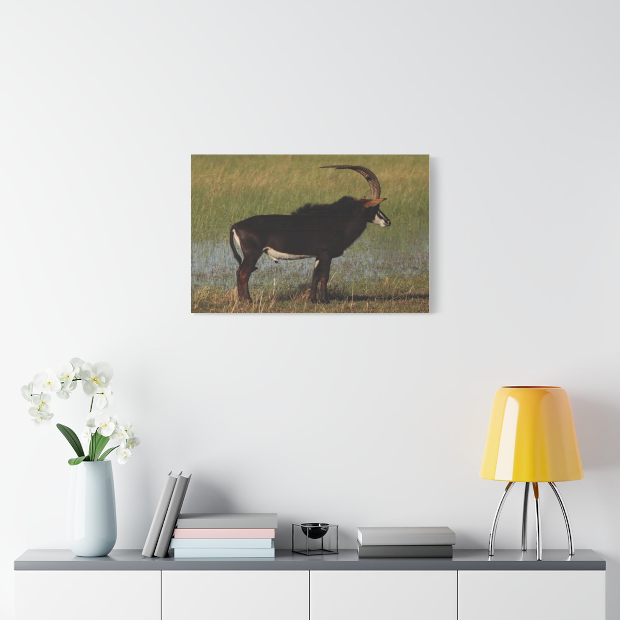 Canvas Print, Magnificent Nature Wall Art, Sable Antelope Décor
