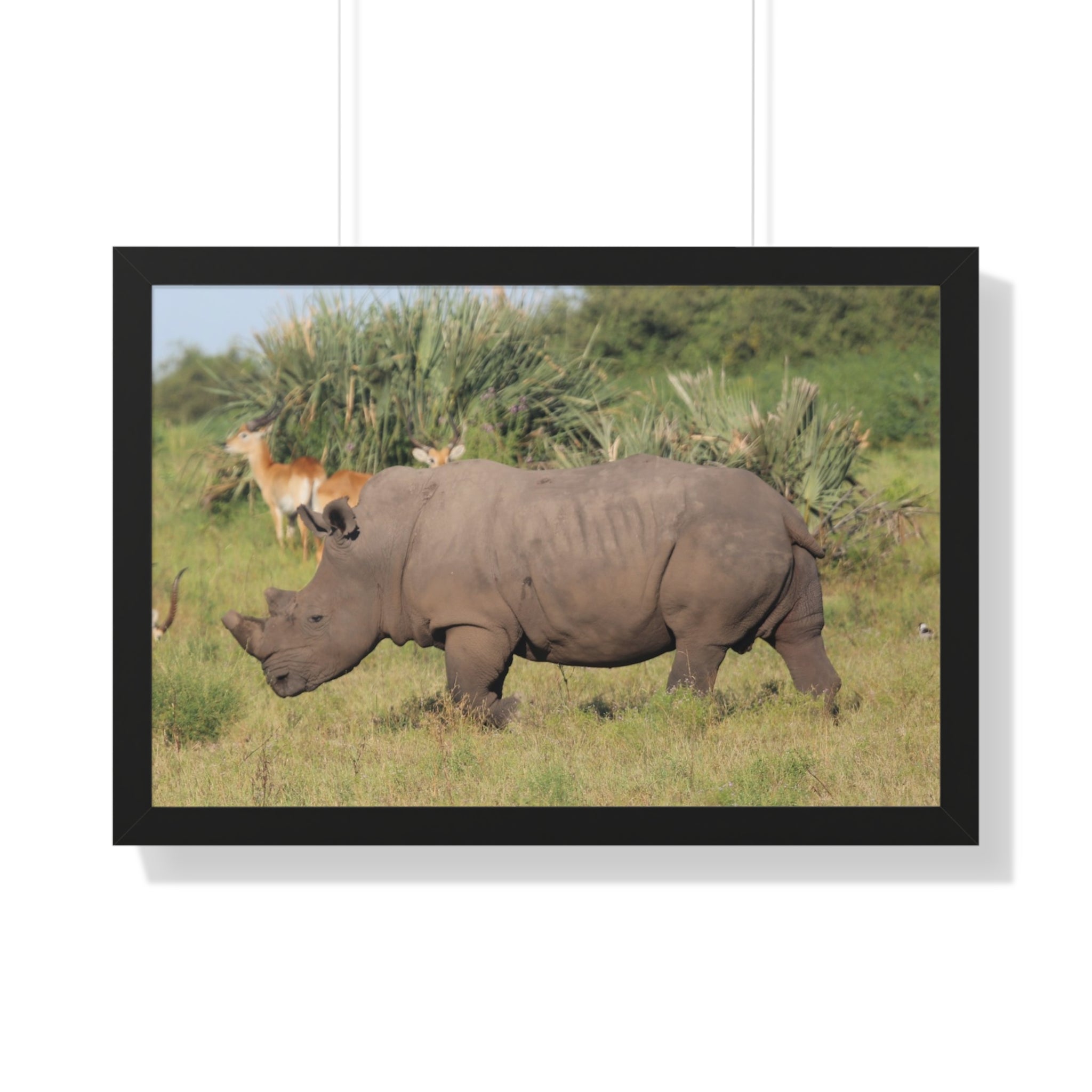 Framed Print, Amazing African Safari Art, Rhino and Antelope Wall Art