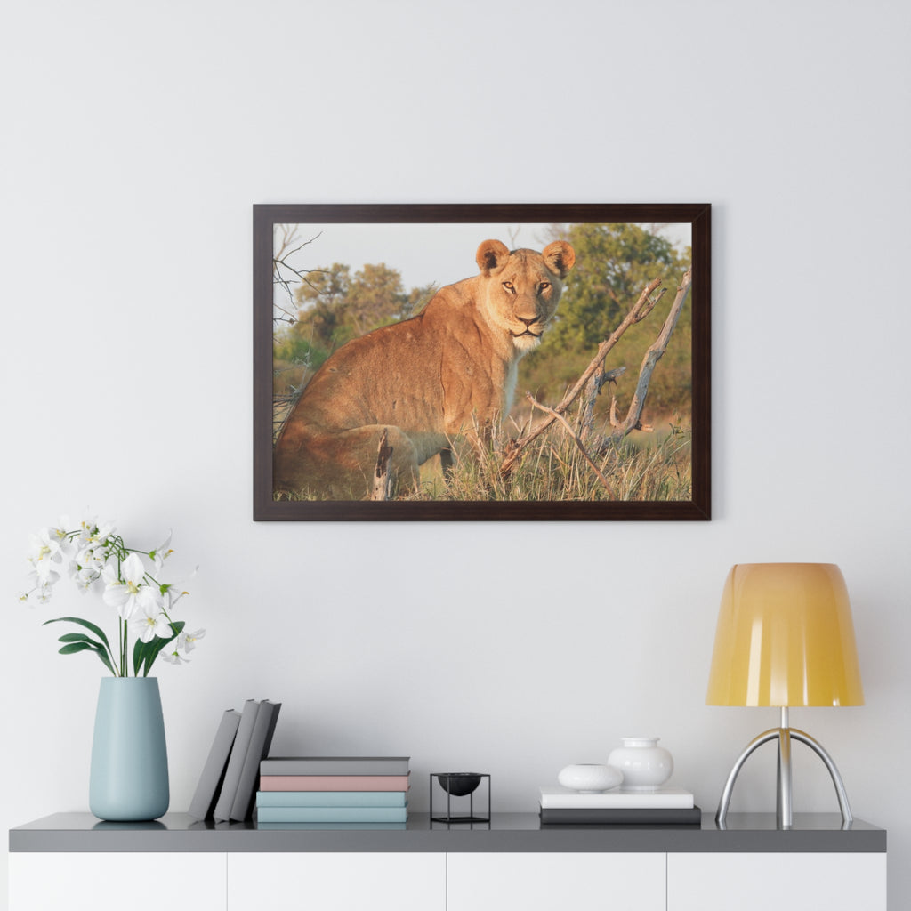 Framed Print, Stunning Lioness Wildlife Decor, Nature Inspired Print