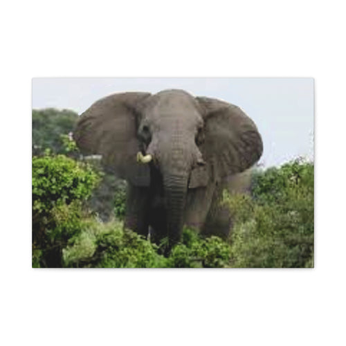 Canvas Print, Nature Elephant Decor, Wildlife Lover Gift