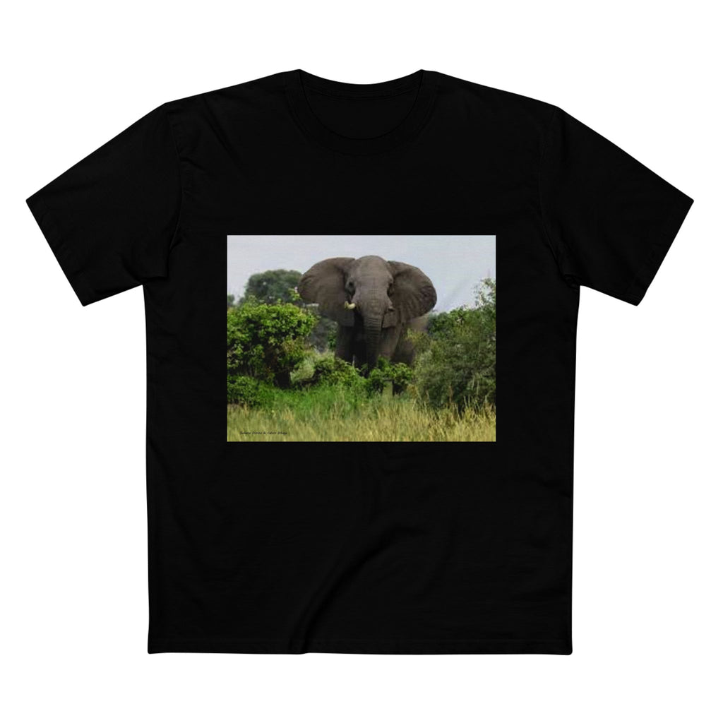 Men's T-Shirt, Stunning Elephant Tee, Animal Print T-Shirt