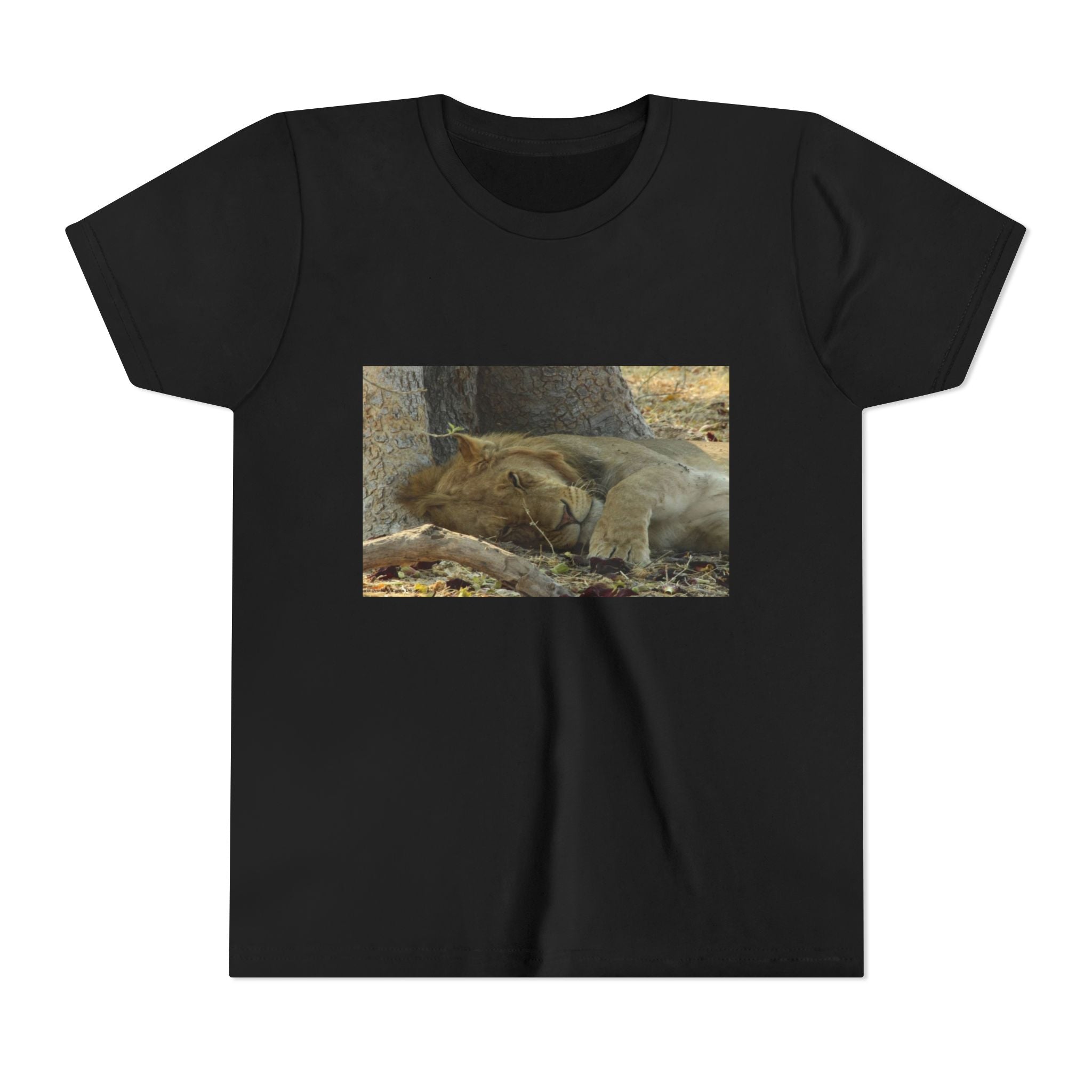 Youth T-Shirt, Lion Dreaming Youth Tee, Nature Inspired Apparel