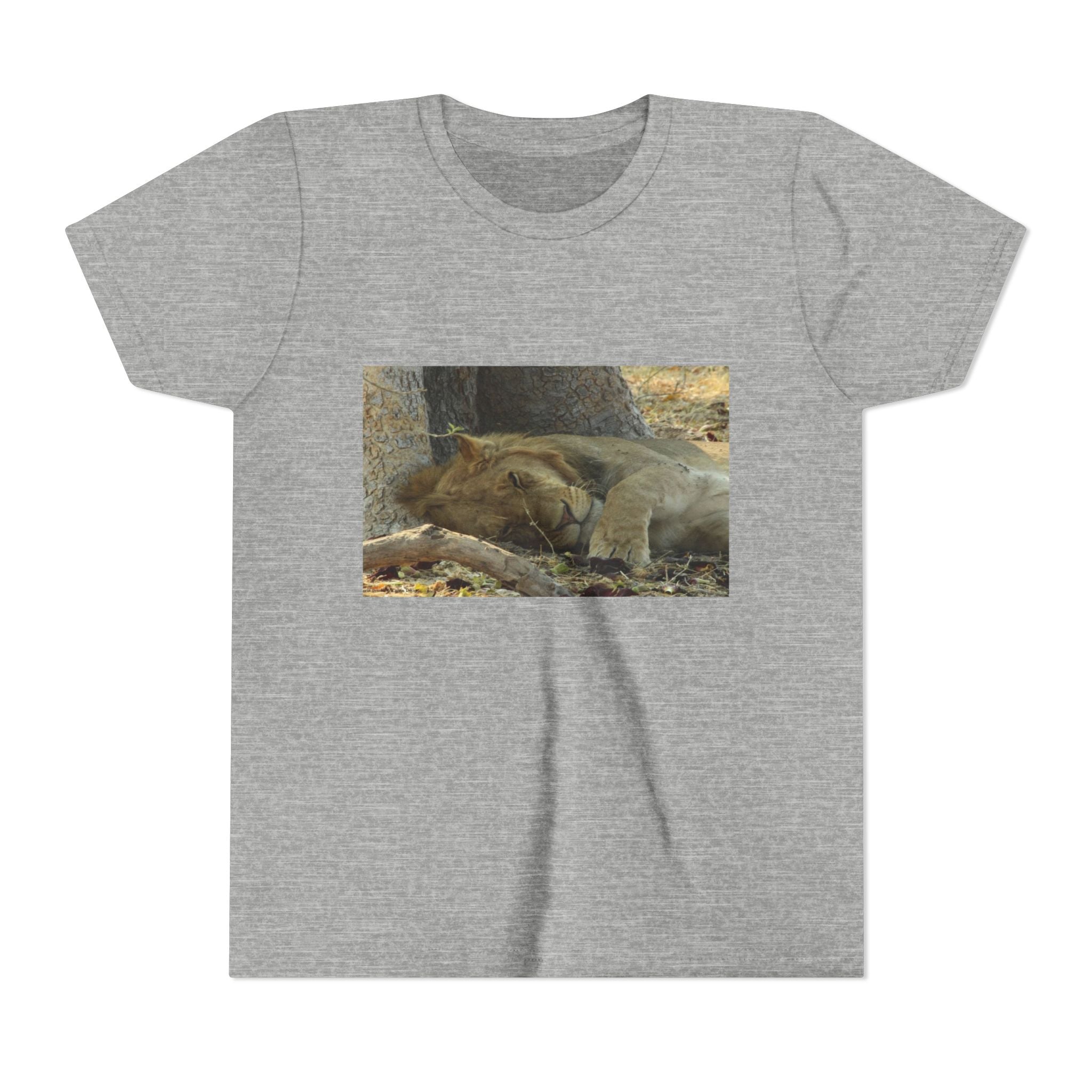 Youth T-Shirt, Lion Dreaming Youth Tee, Nature Inspired Apparel