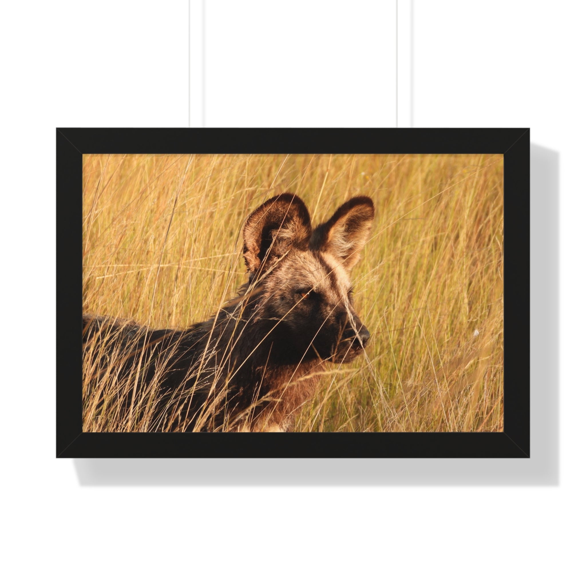 Framed Print, Wild Dog Nature Wall Art, Animal Lover Gift