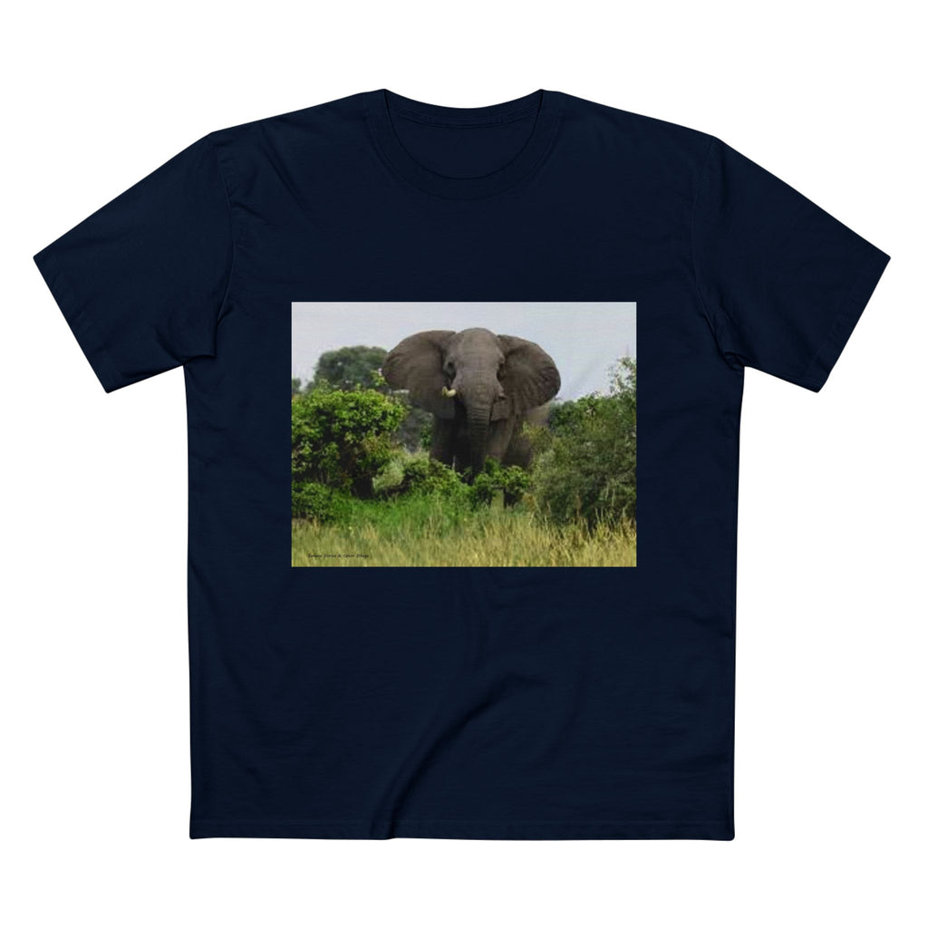 Men's T-Shirt, Stunning Elephant Tee, Animal Print T-Shirt
