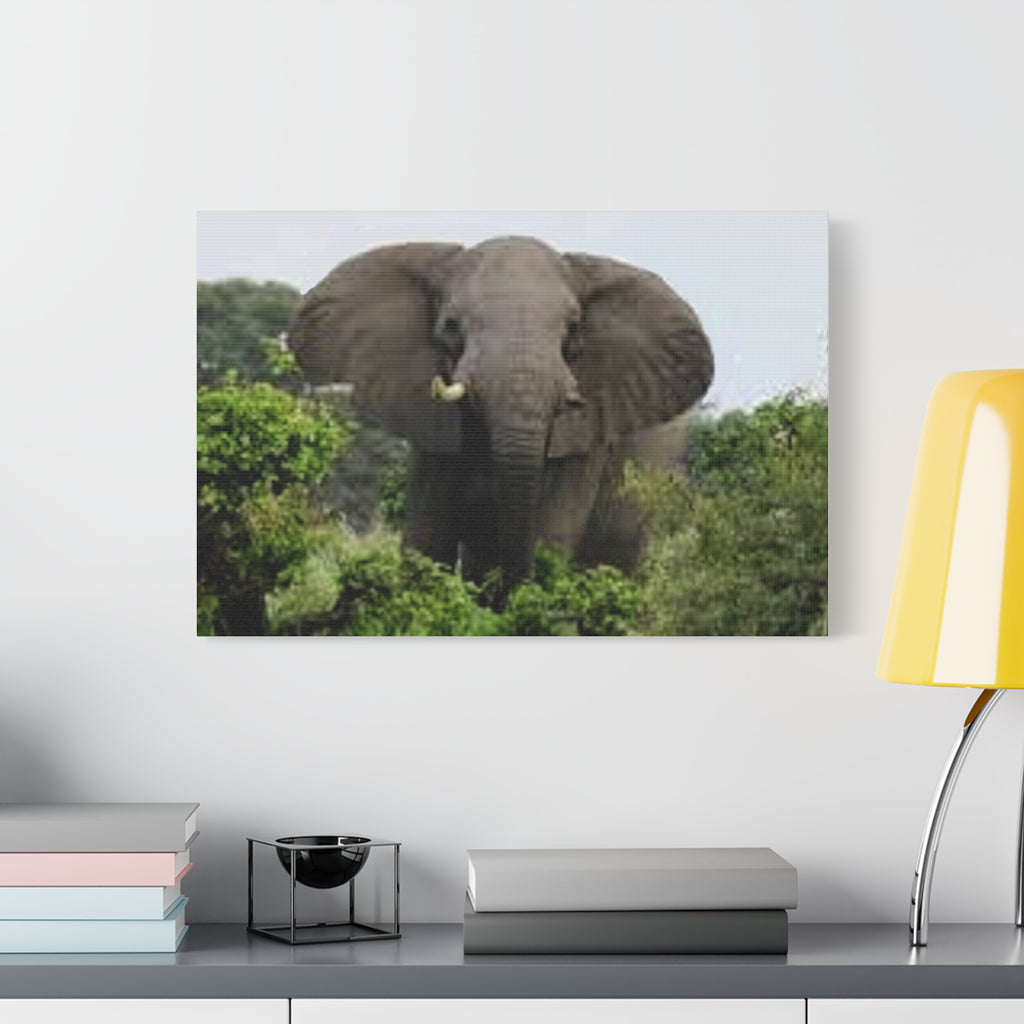 Canvas Print, Nature Elephant Decor, Wildlife Lover Gift
