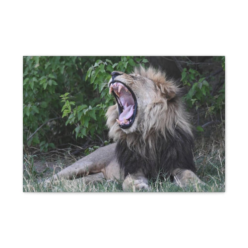 Canvas Print, Wild Animal Photography, Safari Home Decoration