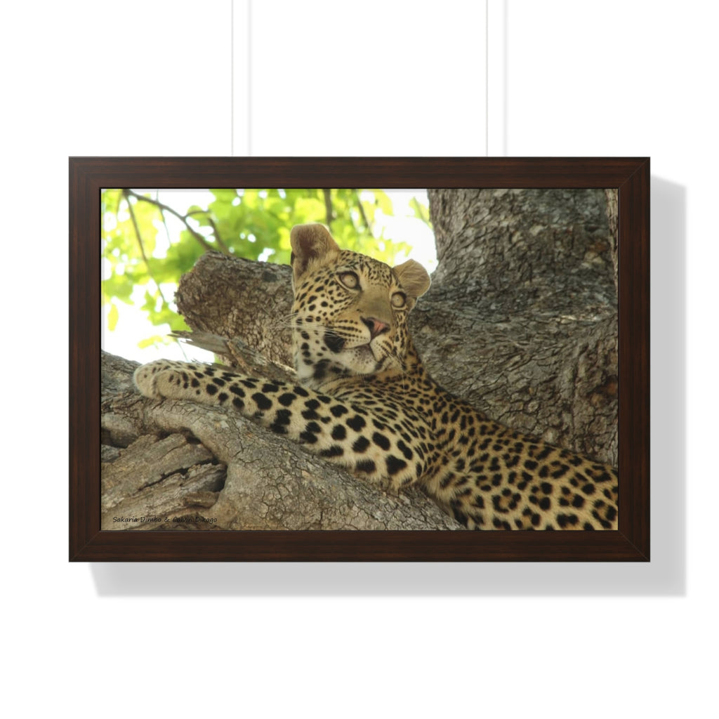 Framed Print, Beautiful Wildlife Wall Art, Gift for Animal Lovers