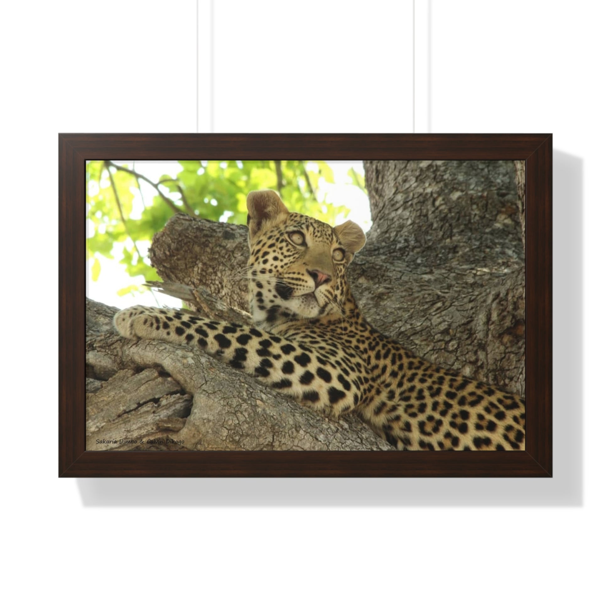 Framed Print, Beautiful Wildlife Wall Art, Gift for Animal Lovers