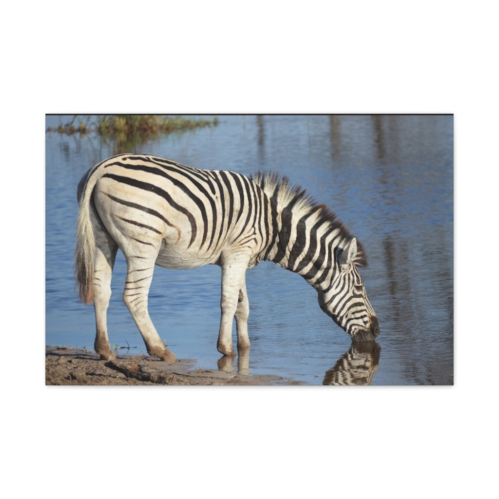 Canvas Print, Nature Wall Decor, Wildlife Canvas Art
