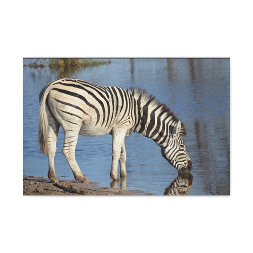 Canvas Print, Nature Wall Decor, Wildlife Canvas Art
