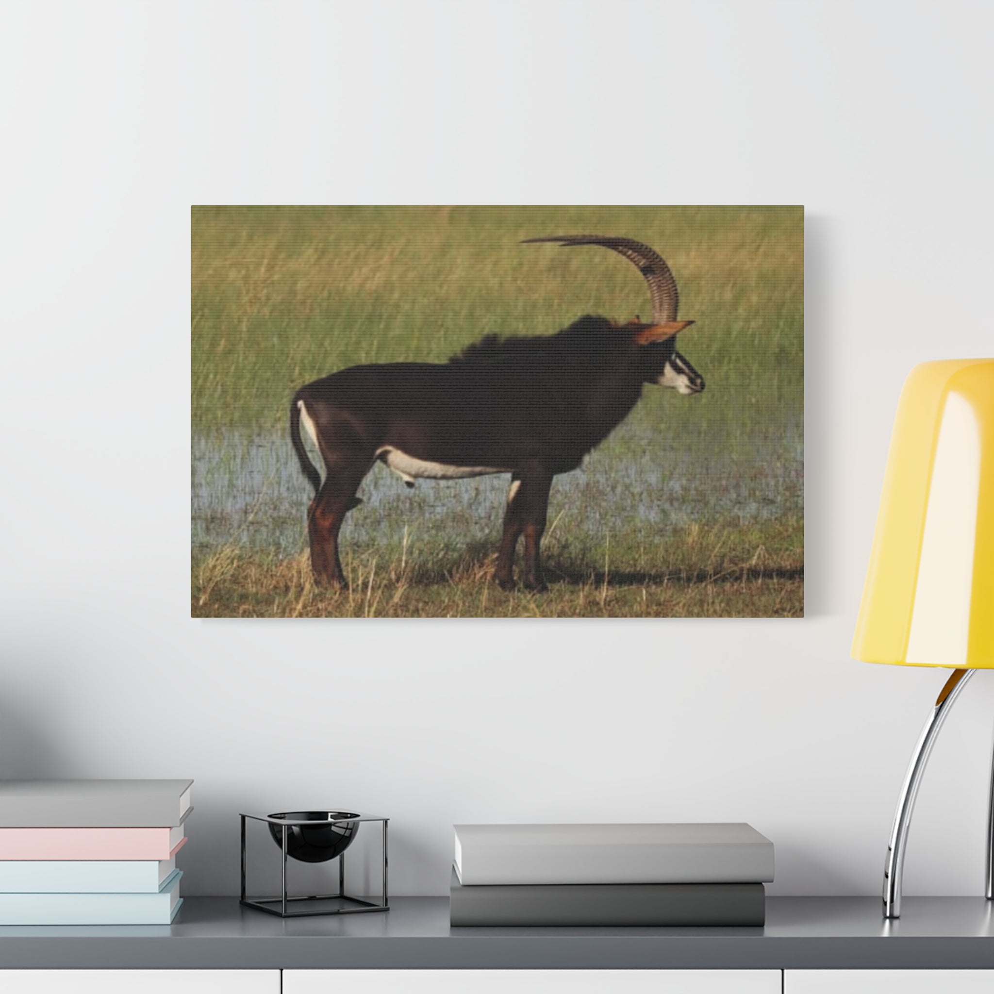 Canvas Print, Magnificent Nature Wall Art, Sable Antelope Décor