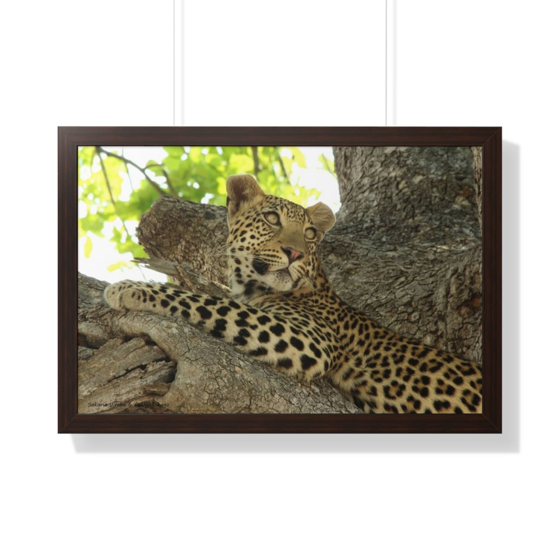 Framed Print, Beautiful Wildlife Wall Art, Gift for Animal Lovers