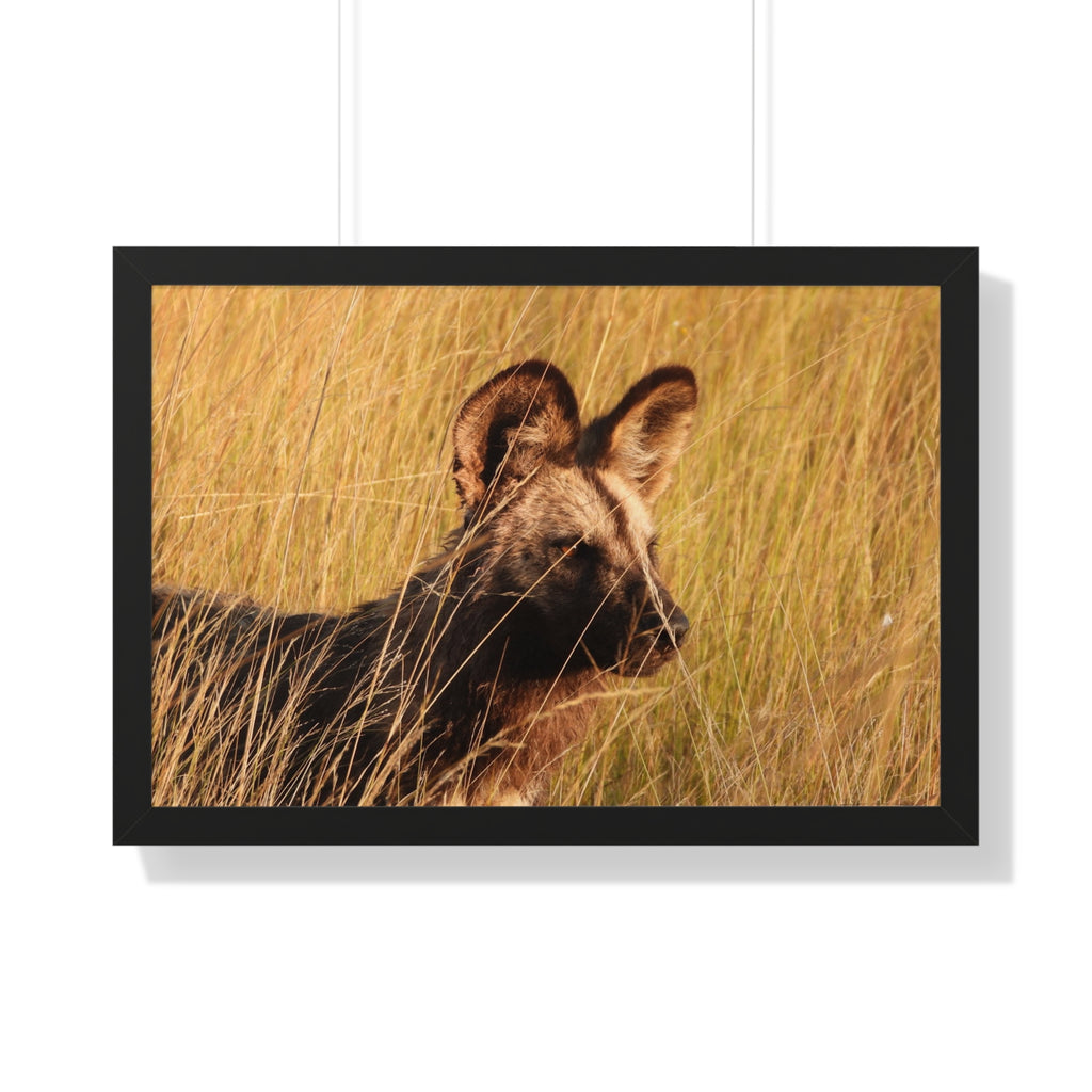 Framed Print, Wild Dog Nature Wall Art, Animal Lover Gift