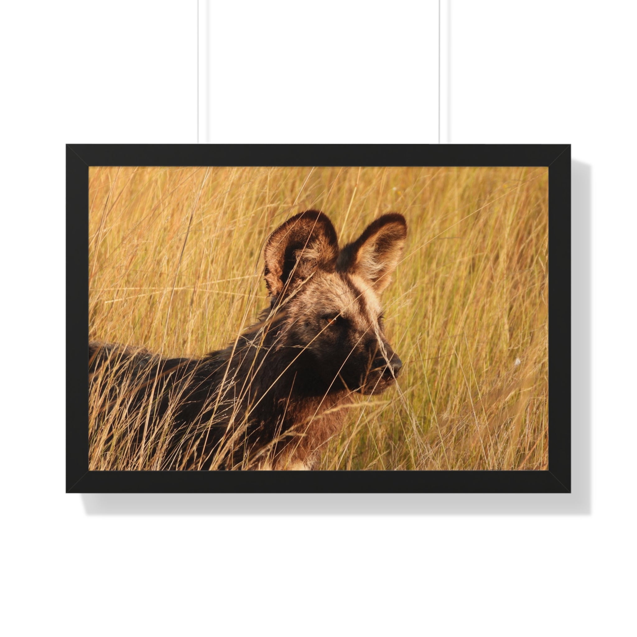 Framed Print, Wild Dog Nature Wall Art, Animal Lover Gift
