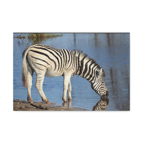 Canvas Print, Nature Wall Decor, Wildlife Canvas Art