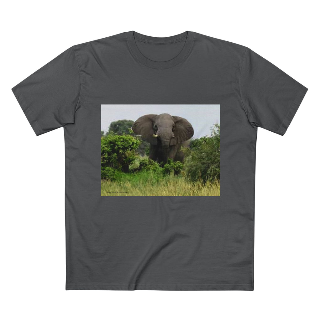 Men's T-Shirt, Stunning Elephant Tee, Animal Print T-Shirt